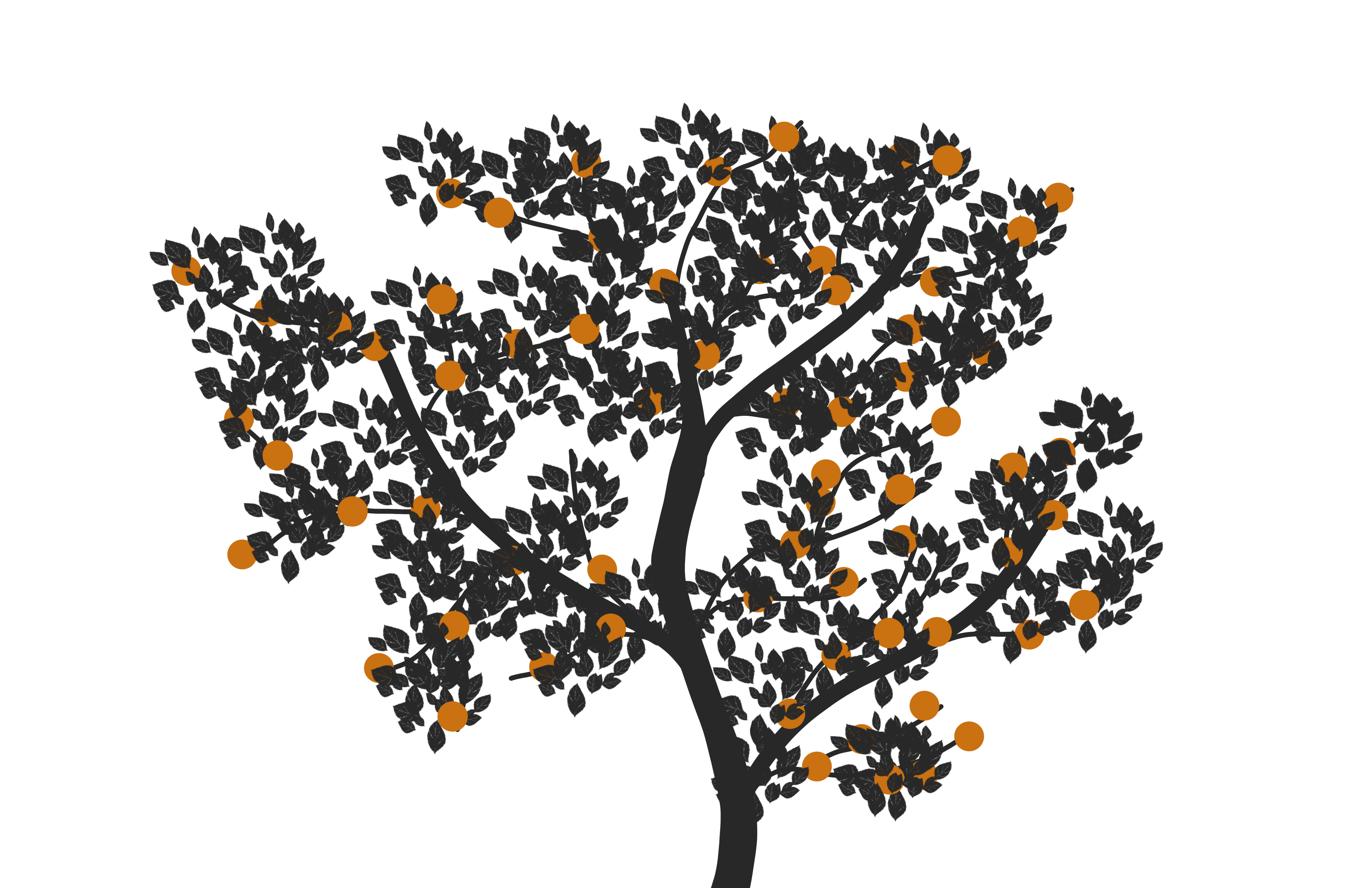 EDT Orange tree